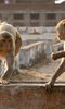 Planet Earth II Live in Concert Planet Earth II Live in Concert
