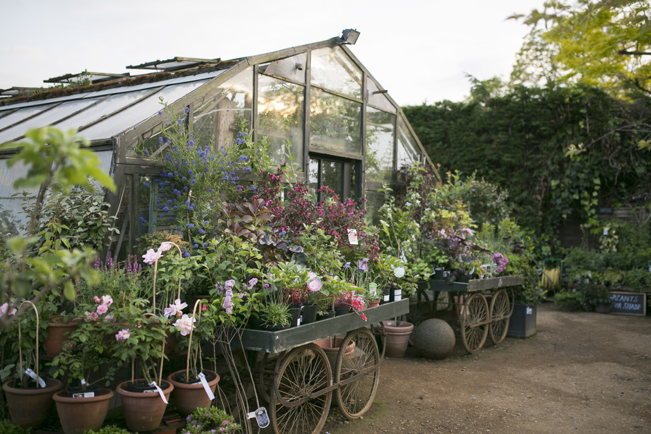 Petersham Nurseries - Photo: Marimo Images www.marimoimages