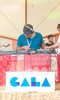 Gala Festival Gala Festival