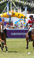 Polo in the Park Polo in the Park
