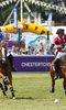 Polo in the Park Polo in the Park