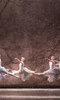 Birmingham Royal Ballet: The Nutcracker Birmingham Royal Ballet: The Nutcracker