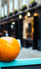 The Quarter of Curiosity Shop The Quarter of Curiosity Shop