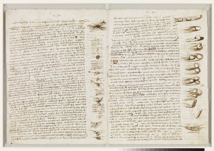 Leonardo da Vinci: A Mind in Motion Leonardo da Vinci: A Mind in Motion