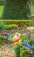 Easter Lindt Gold Bunny Hunt at Kensington Palace Easter Lindt Gold Bunny Hunt at Kensington Palace