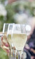 Prosecco Springs Prosecco Springs