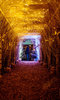 Winterland London Winterland London