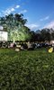 Nomad Cinema: Queens Park: The Adventures Of Priscilla Nomad Cinema: Queens Park: The Adventures Of Priscilla