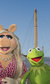 The Muppets Take The O2 The Muppets Take The O2