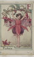 Flower Fairies: Botanical Magic Flower Fairies: Botanical Magic