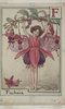 Flower Fairies: Botanical Magic Flower Fairies: Botanical Magic