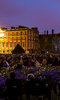 The Luna Cinema 2019 The Luna Cinema 2019