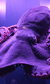 Sea Creatures Sea Creatures