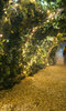 Backyard Cinema: Christmas Labyrinth Backyard Cinema: Christmas Labyrinth