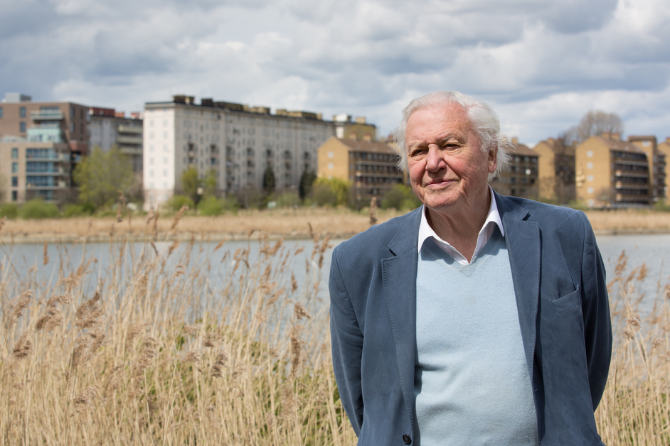 Woodberry Wetlands - Woodberry Wetlands opening with David Attenborough, photo  Don Lewis