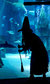 SEA LIFE London: Halloween Ascarium SEA LIFE London: Halloween Ascarium