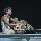 Life of Pi hotels title=