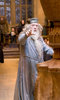 Harry Potter and the Goblet of Fire in Concert Harry Potter and the Goblet of Fire in Concert