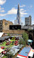 The Pimm's Garden The Pimm's Garden