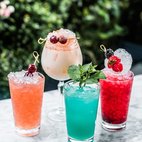 Koko Kanu Tropical Summer Terrace hotels title=