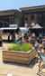 Summer at Eccleston Yards Summer at Eccleston Yards