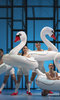 Aracaladanza: Play Aracaladanza: Play