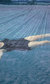 Jo Spence and Oreet Ashery: Misbehaving Bodies Jo Spence and Oreet Ashery: Misbehaving Bodies