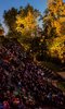 Luna Cinema: Regent's Park Open Air Theatre Luna Cinema: Regent's Park Open Air Theatre