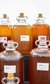 CIDERFEST - A Celebration of Cider CIDERFEST - A Celebration of Cider