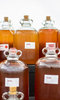 CIDERFEST - A Celebration of Cider CIDERFEST - A Celebration of Cider