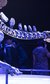 New Year's Eve: Creatures of the Night New Year's Eve: Creatures of the Night