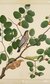 Forgotten Masters: Indian Painting For The East India Company Forgotten Masters: Indian Painting For The East India Company