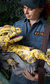 Erth's Dinosaur Zoo Erth's Dinosaur Zoo