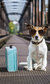 The Dog Walker The Dog Walker
