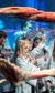 Body Worlds Body Worlds