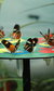 ZSL London Zoo: The Very Hungry Caterpillar ZSL London Zoo: The Very Hungry Caterpillar