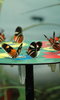 ZSL London Zoo: The Very Hungry Caterpillar ZSL London Zoo: The Very Hungry Caterpillar